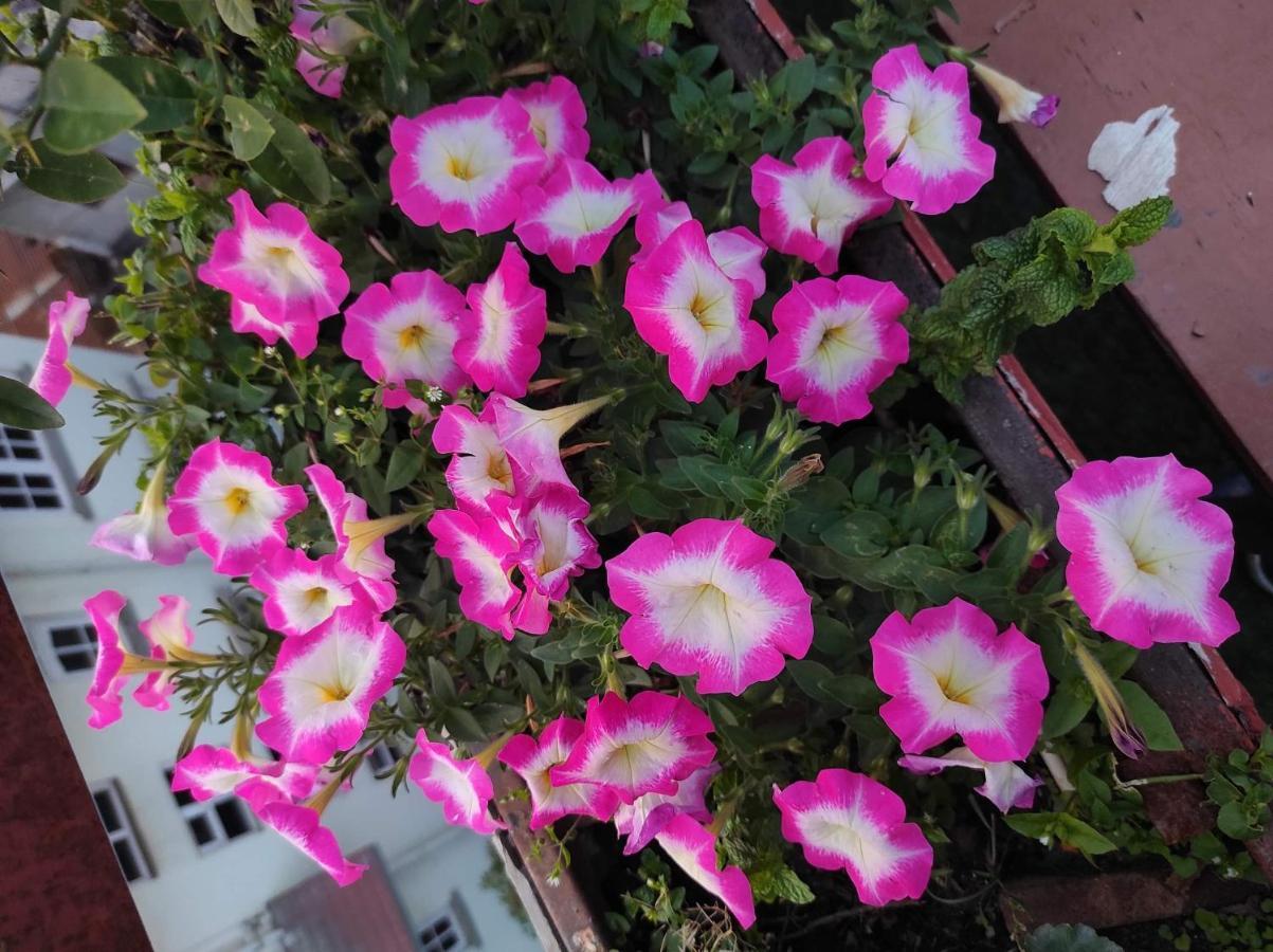Yog Hostel กาฐมาณฑุ ภายนอก รูปภาพ