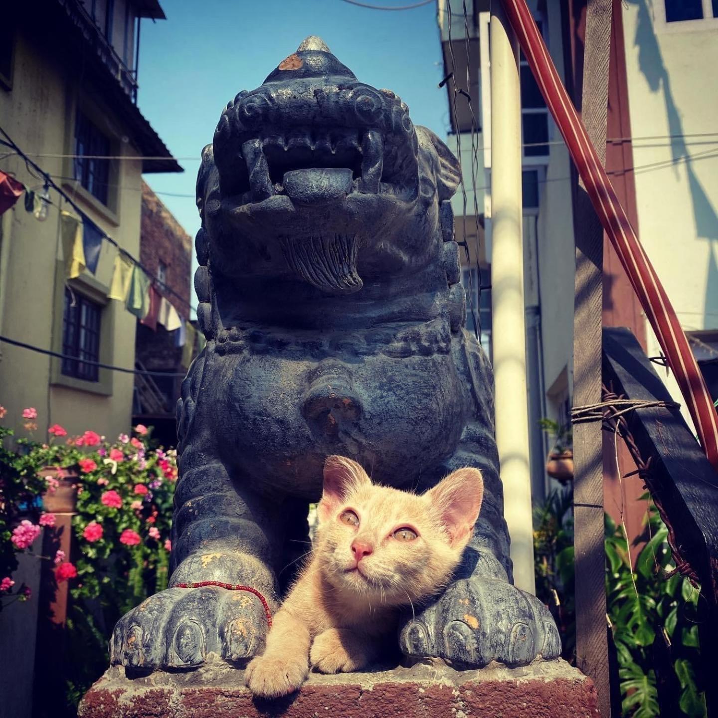 Yog Hostel กาฐมาณฑุ ภายนอก รูปภาพ